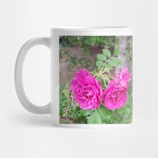 A trio of roses Mug